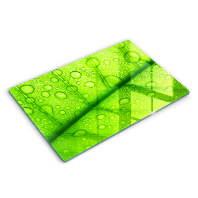 Skydd för induktionsspis elegant Närbild av ett löv