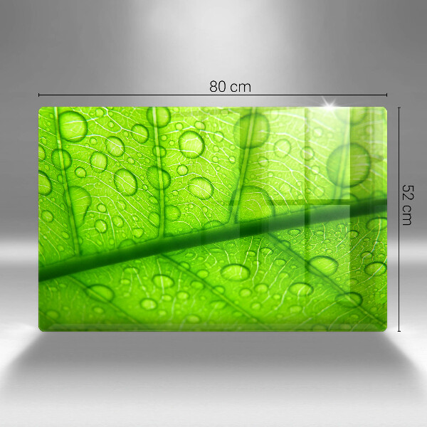 Skydd för induktionsspis elegant Närbild av ett löv