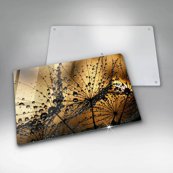 Spisskyddsplatta elegant Dagg och maskrosor