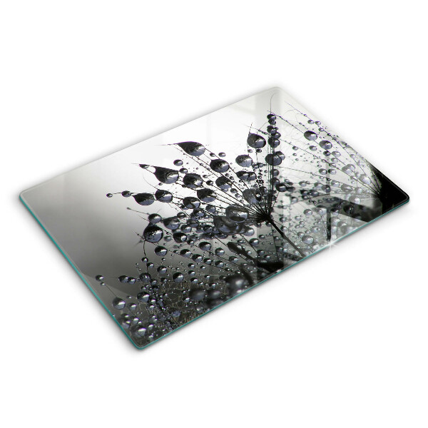 Spisskyddsplatta elegant Maskrosor och dagg