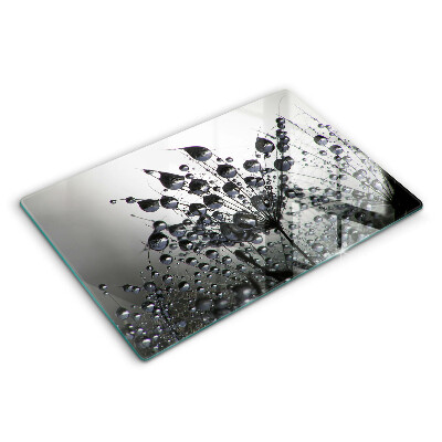 Spisskyddsplatta elegant Maskrosor och dagg