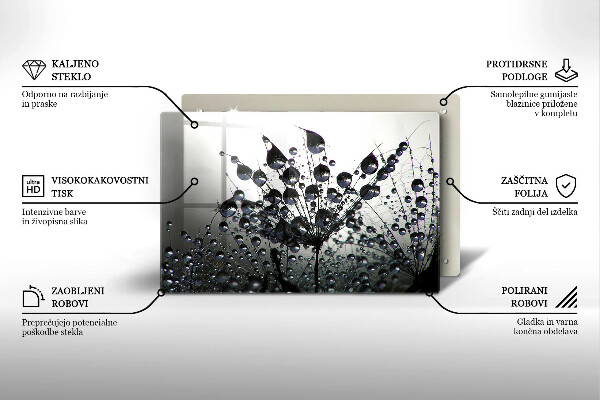 Spisskyddsplatta elegant Maskrosor och dagg