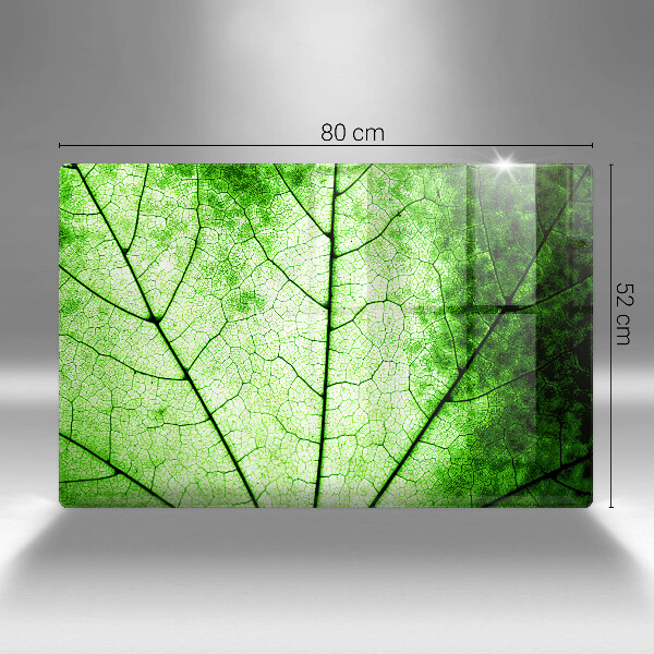 Spisskyddsplatta elegant Dekorativt ådroblad