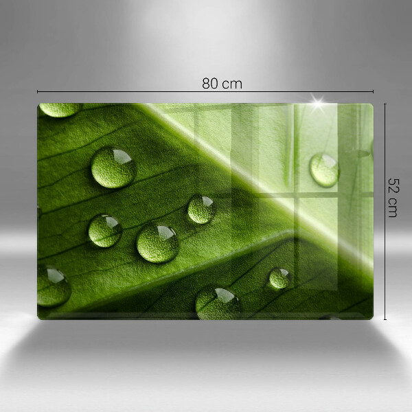 Spisskyddsplatta elegant Natur dagg och löv