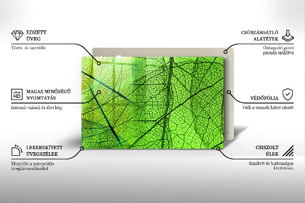 Spisskyddsplatta elegant Natur löv vener