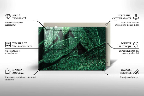 Glashällskydd elegant Växtens blad