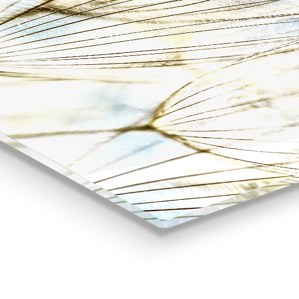 Stänkskydd kök Maskros Maskros i vinden