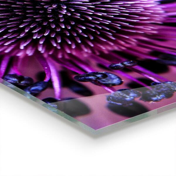 Stänkskydd kök Lila blomma