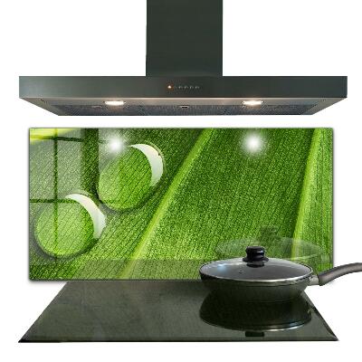 Stänkskydd kök Daggdroppe på ett löv