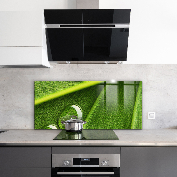 Stänkskydd kök Daggdroppe på ett löv