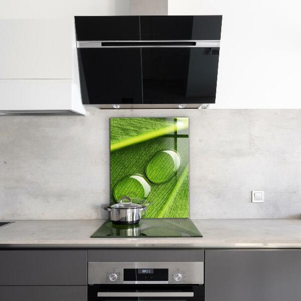 Stänkskydd kök Daggdroppe på ett löv