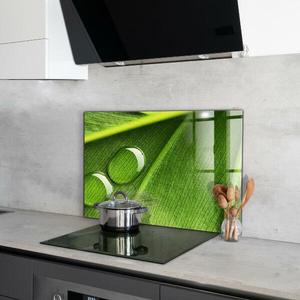 Stänkskydd kök Daggdroppe på ett löv