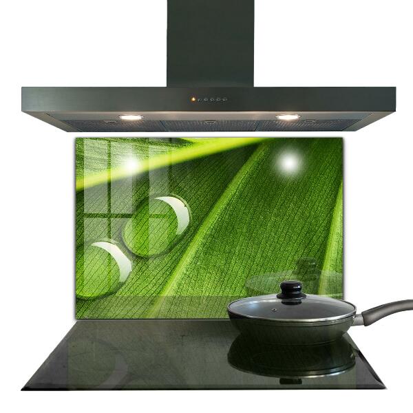 Stänkskydd kök Daggdroppe på ett löv