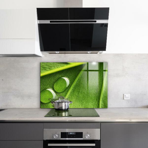 Stänkskydd kök Daggdroppe på ett löv