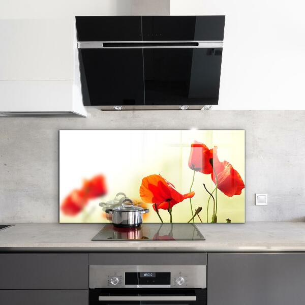 Stänkskydd kök Åkeräng med röda vallmo