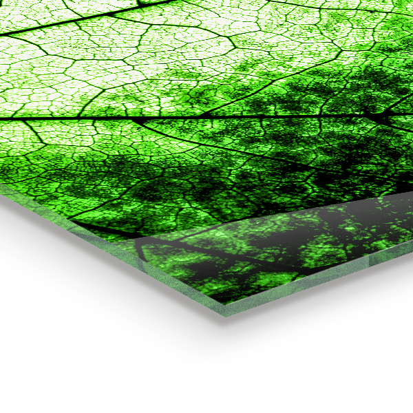 Stänkskydd kök Gröna blad textur