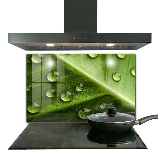 Stänkskydd kök Blad med droppar morgondagg