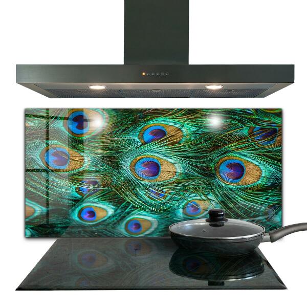 Stänkskydd kök Påfågelfjädrar vacker natur