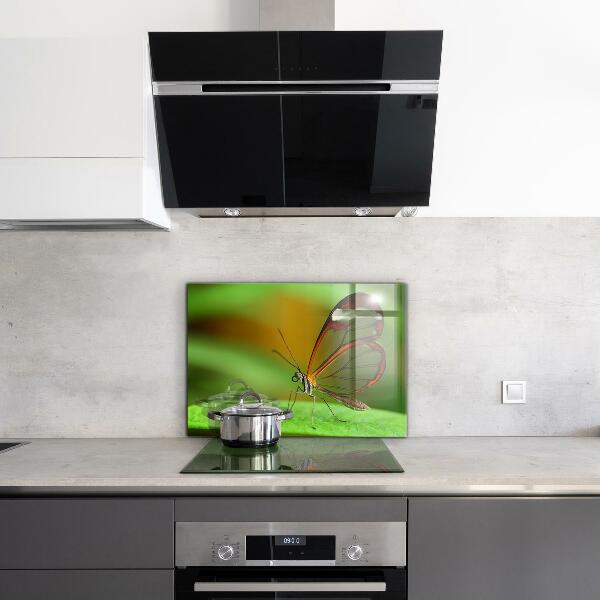 Stänkskydd kök Fjäril på ett löv