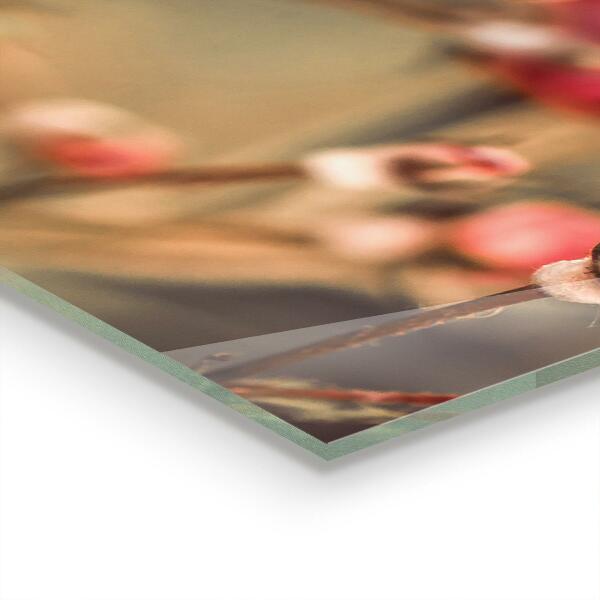 Stänkskydd kök Vildros i parken