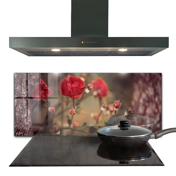 Stänkskydd kök Vildros i parken