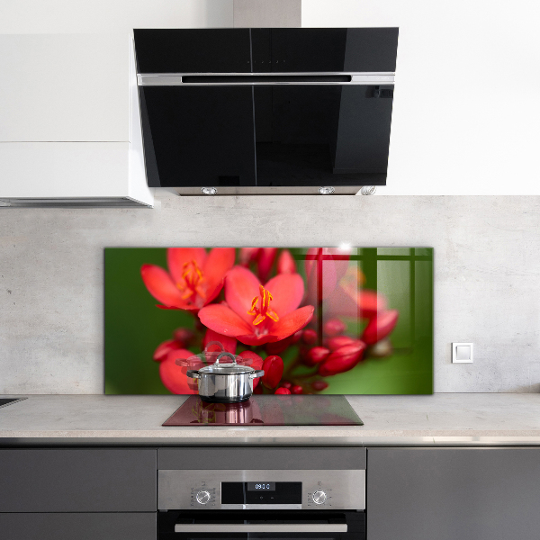 Stänkskydd kök Blommande blomknoppar