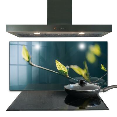 Stänkskydd kök Glänsande blad på gren