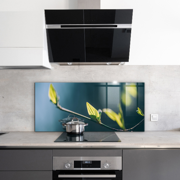 Stänkskydd kök Glänsande blad på gren