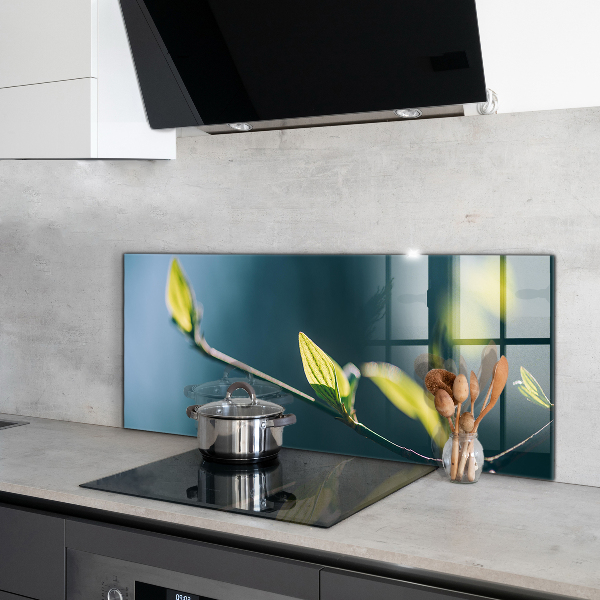 Stänkskydd kök Glänsande blad på gren