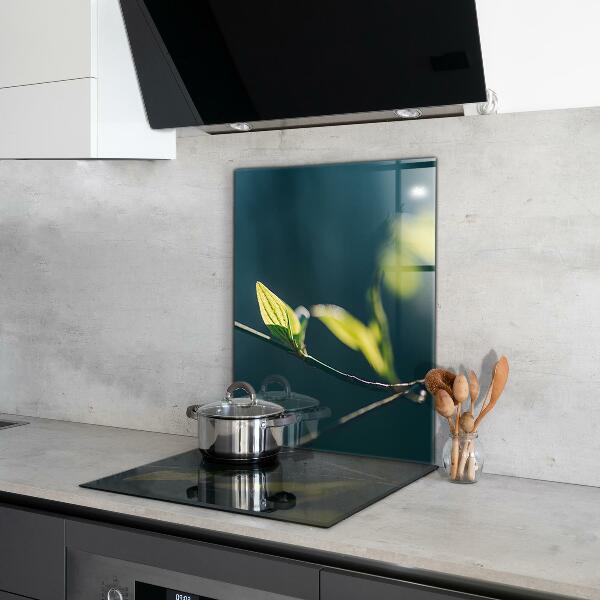 Stänkskydd kök Glänsande blad på gren