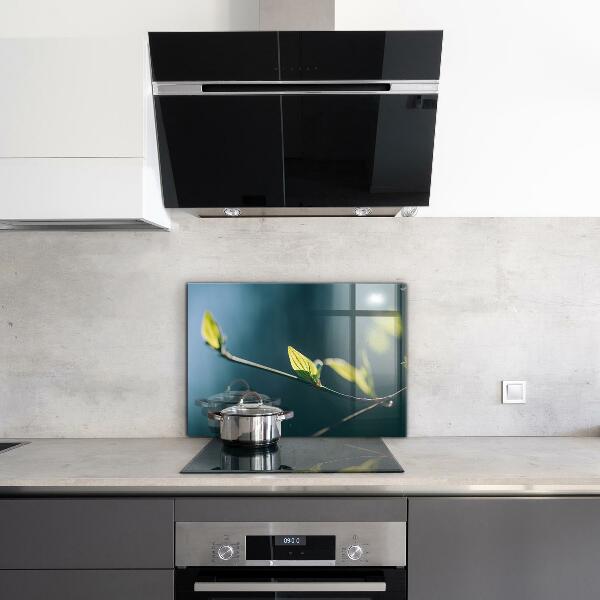 Stänkskydd kök Glänsande blad på gren