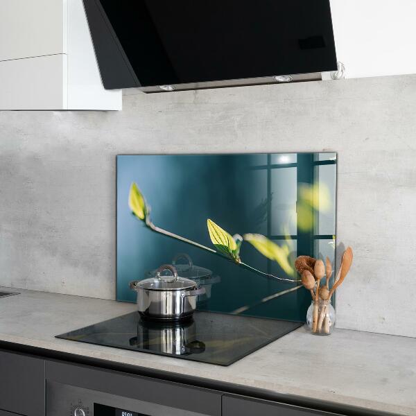 Stänkskydd kök Glänsande blad på gren