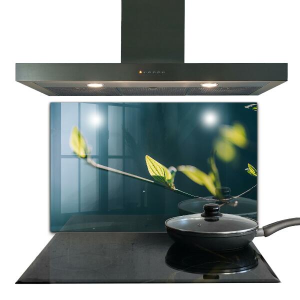 Stänkskydd kök Glänsande blad på gren