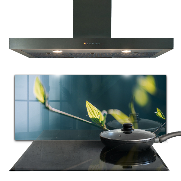 Stänkskydd kök Glänsande blad på gren