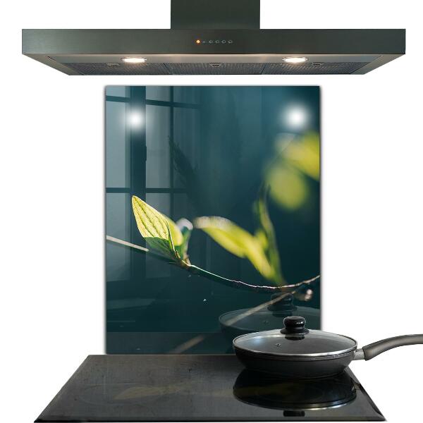 Stänkskydd kök Glänsande blad på gren