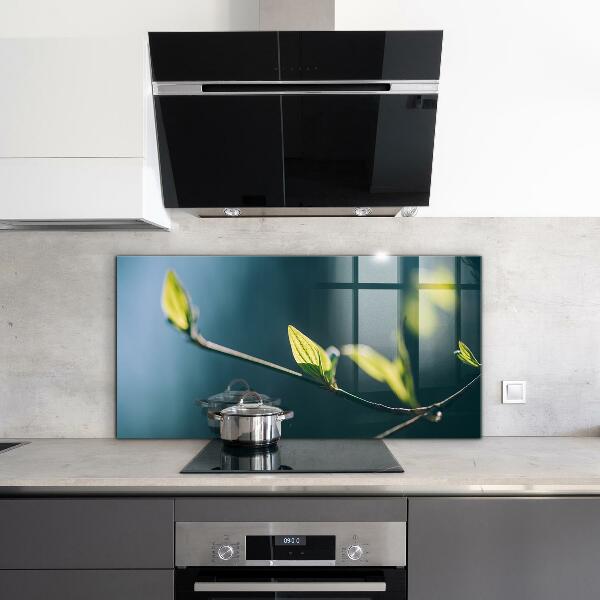 Stänkskydd kök Glänsande blad på gren