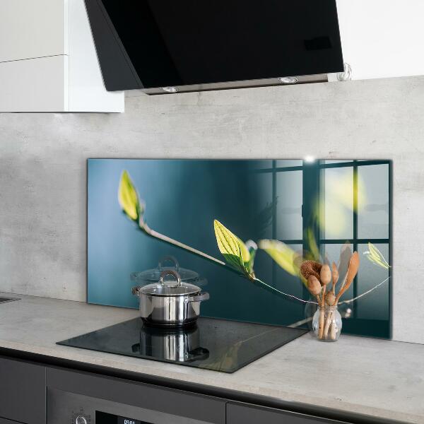 Stänkskydd kök Glänsande blad på gren