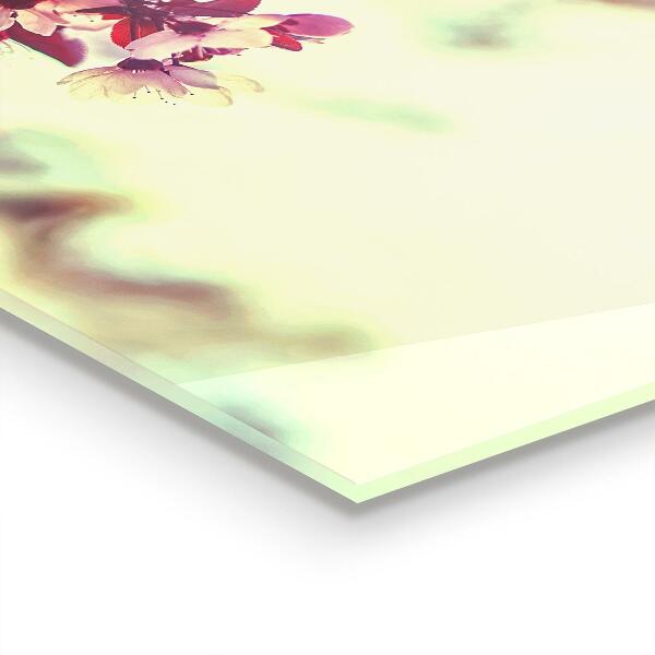 Stänkskydd kök Blommande rosa träd