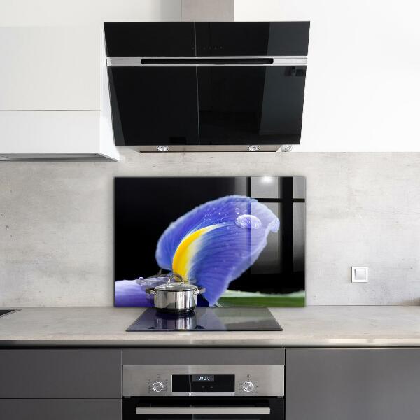 Stänkskydd kök Lila irisblomma