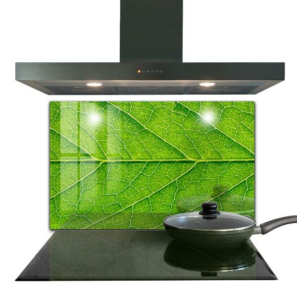 Stänkskydd kök Fina bladdetaljer