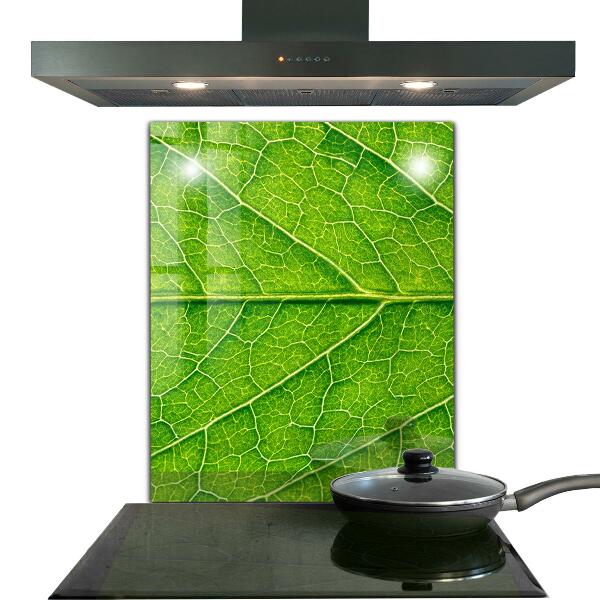 Stänkskydd kök Fina bladdetaljer