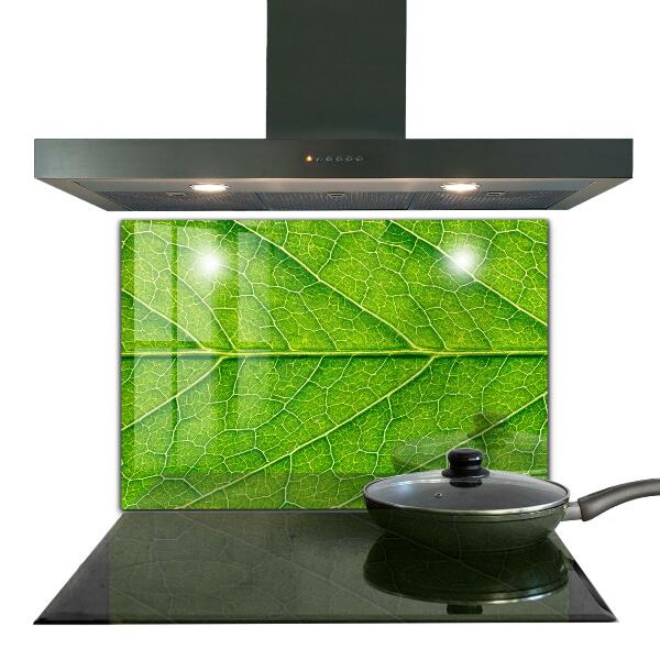 Stänkskydd kök Fina bladdetaljer