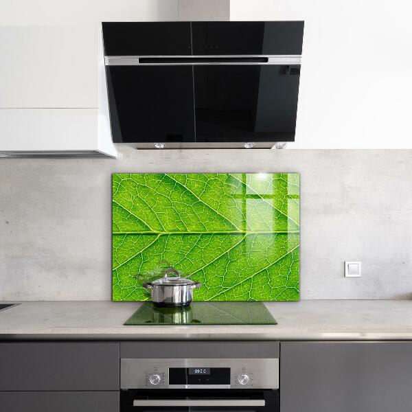 Stänkskydd kök Fina bladdetaljer