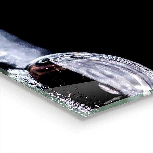 Stänkskydd kök En droppe dagg på morgonen