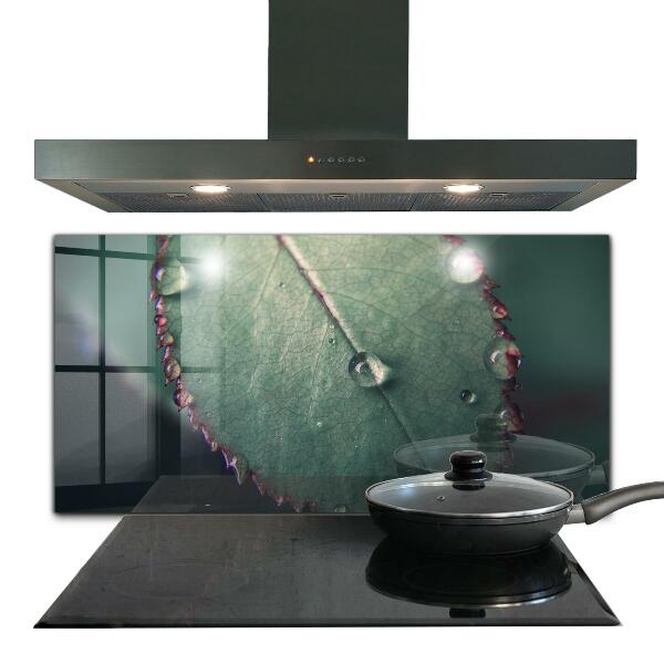 Stänkskydd kök Löv med daggdroppe