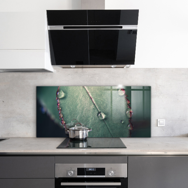 Stänkskydd kök Löv med daggdroppe