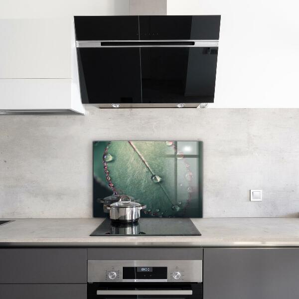 Stänkskydd kök Löv med daggdroppe