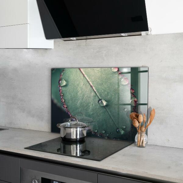 Stänkskydd kök Löv med daggdroppe