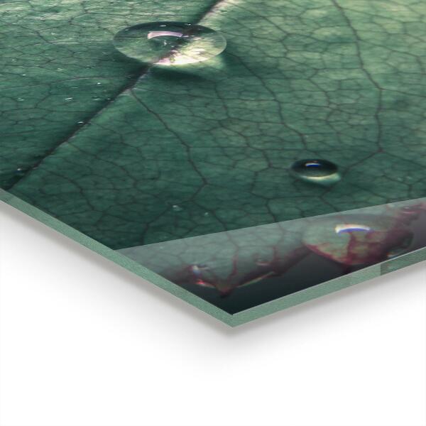 Stänkskydd kök Löv med daggdroppe