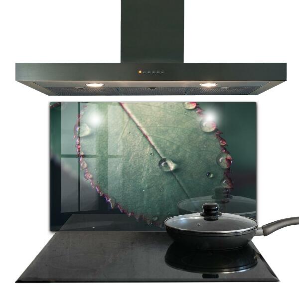 Stänkskydd kök Löv med daggdroppe